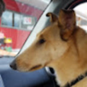 Meet your Posher, Lori-anne